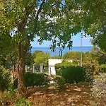 Dalmatia Blue Mlini