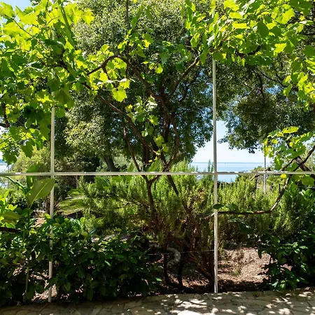 Apartments Dalmatia Blue Apartman