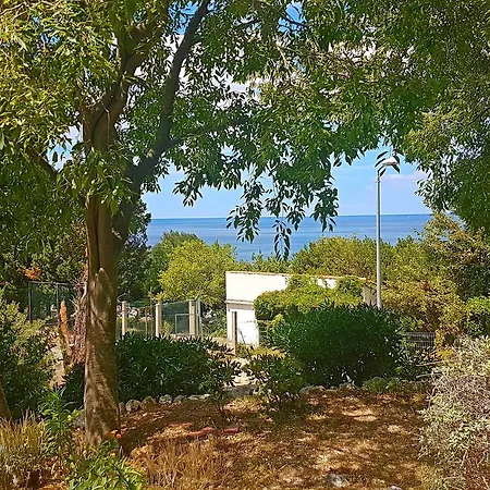 Dalmatia Blue Mlini