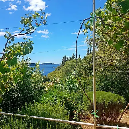 Dalmatia Blue Lägenhet