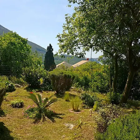 Apartments Dalmatia Blue Mlini