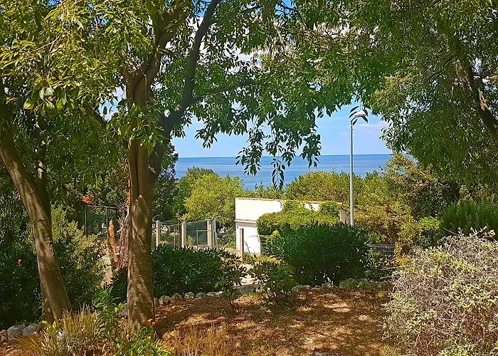 Dalmatia Blue 믈리니