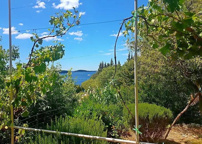 Dalmatia Blue 아파트