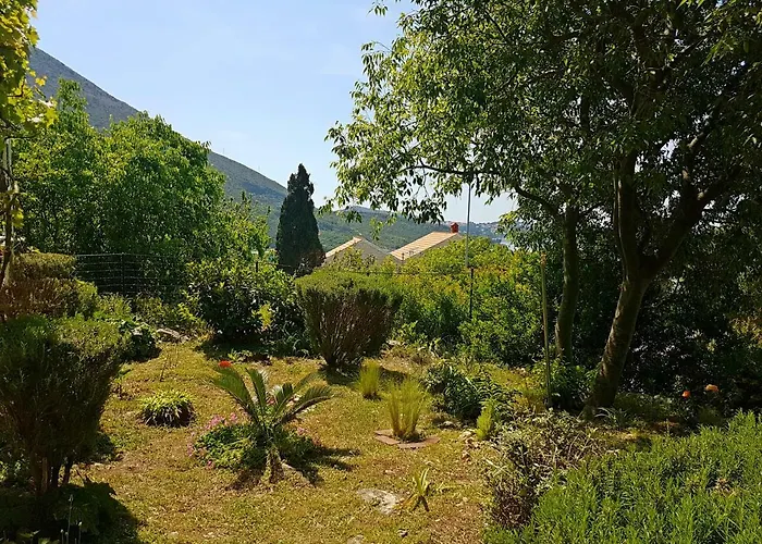 Dalmatia Blue 믈리니